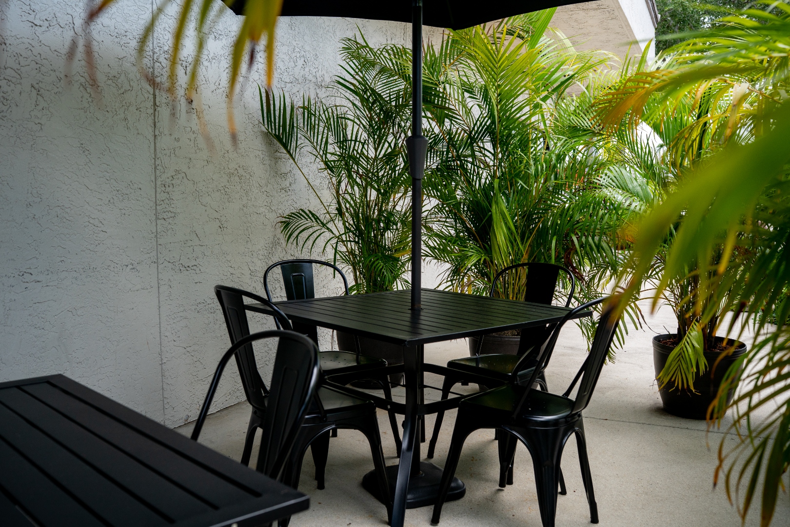 Lush back patio with palm trees at Luc's Seafood & Grill